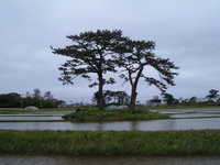  dscf0942.jpg 