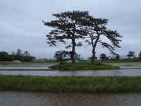  dscf0943.jpg 