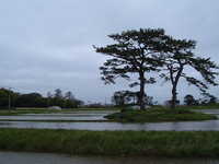  dscf0944.jpg 