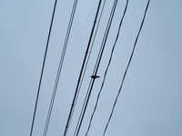  dscf0945.jpg 