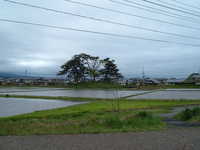  dscf0948.jpg 