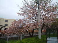  dscf0949.jpg 