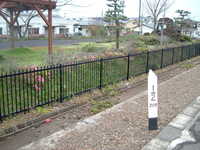  dscf0953.jpg 