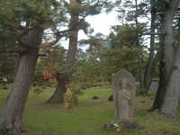  dscf0959.jpg 