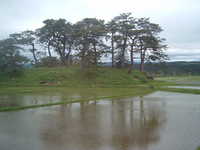  dscf0960.jpg 
