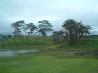  dscf0962.jpg 