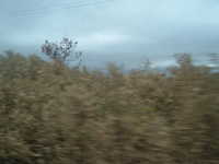  dscf0964.jpg 