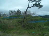  dscf0966.jpg 