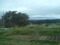  dscf0967.jpg 