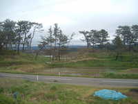  dscf0968.jpg 