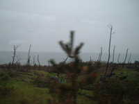  dscf0979.jpg 