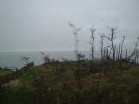  dscf0980.jpg 