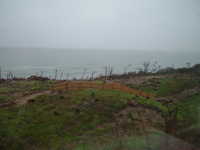  dscf0981.jpg 