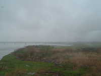  dscf0984.jpg 