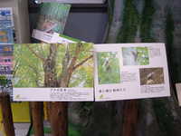  dscf1008.jpg 