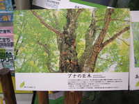  dscf1009.jpg 