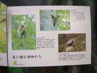  dscf1010.jpg 