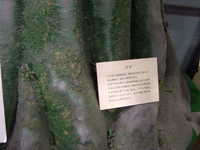  dscf1011.jpg 