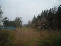  dscf1044.jpg 