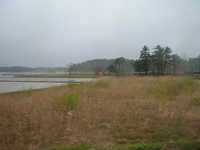  dscf1049.jpg 