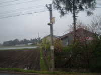  dscf1050.jpg 