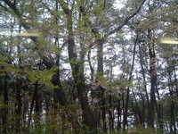  dscf0003.jpg 