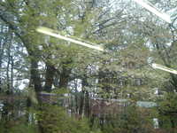  dscf0004.jpg 