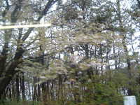  dscf0005.jpg 