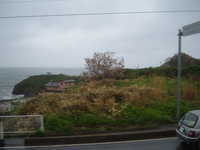  dscf0025.jpg 
