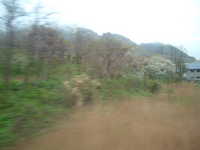  dscf0026.jpg 