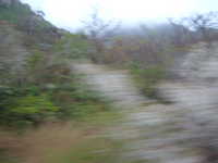 dscf0027.jpg 