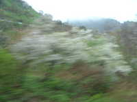  dscf0028.jpg 