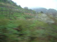  dscf0029.jpg 