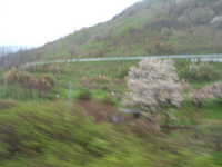  dscf0033.jpg 