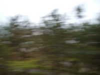  dscf0037.jpg 