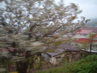  dscf0038.jpg 