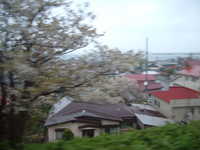  dscf0039.jpg 