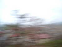  dscf0040.jpg 