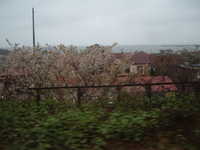  dscf0041.jpg 