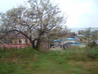  dscf0042.jpg 