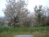  dscf0043.jpg 