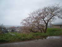  dscf0044.jpg 