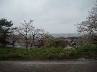 dscf0045.jpg 