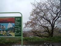  dscf0049.jpg 