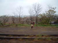  dscf0051.jpg 