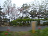  dscf0052.jpg 