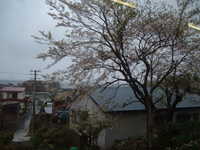  dscf0053.jpg 