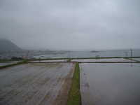  dscf0055.jpg 