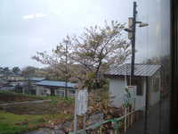  dscf0060.jpg 