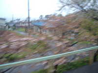  dscf0061.jpg 